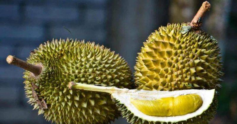 Pinterest.com/cambodia